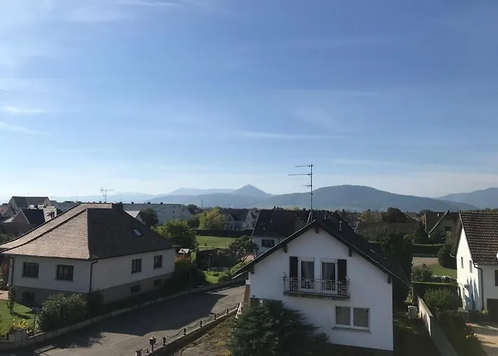Chaleureux Et Lumineux Avec Vue ! Au Centre Alsace Selestat