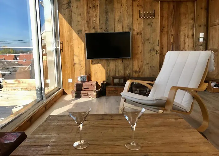 Chaleureux Et Lumineux Avec Vue ! Au Centre Alsace Apartment *